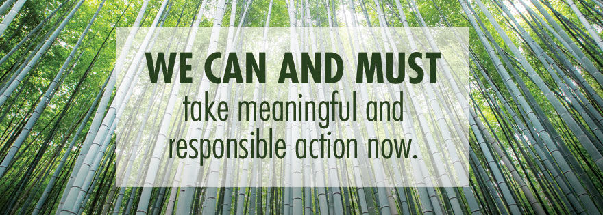 We can and must take meaningful and responsible action now