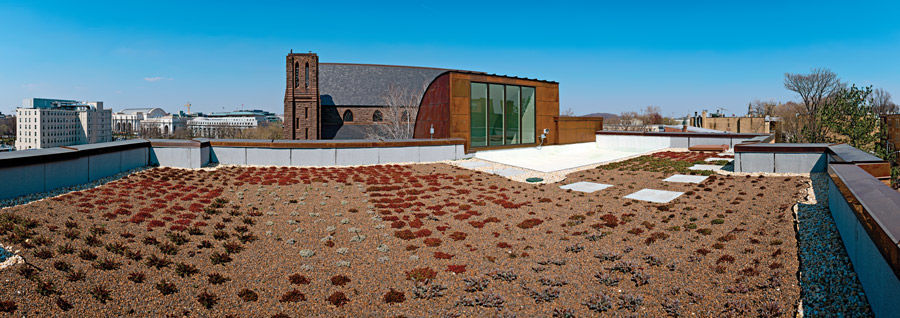 The green roof at FCNL.