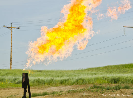 Natural gas flares from a flare-head at the Orvis State well on the Evanson family farm in McKenzie County, North Dakota, east of Arnegard and west of Watford City.